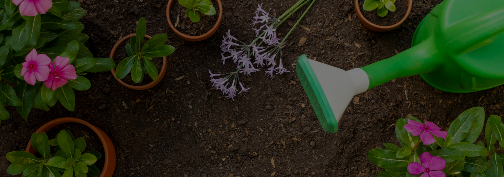 Revitalização de jardins em geral