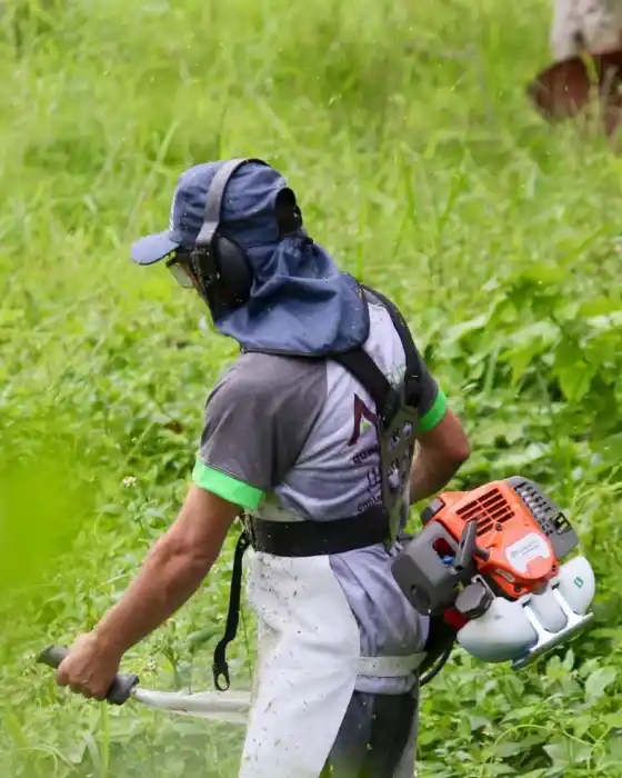 Imagem da categoria: Jardinagem