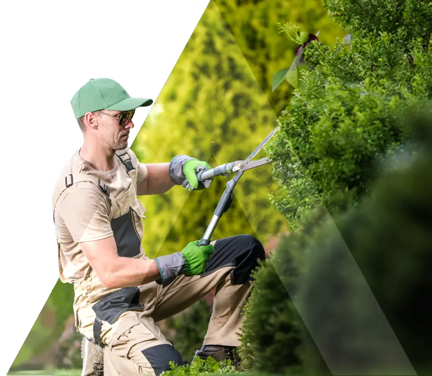 Imagem Quem Somos Home