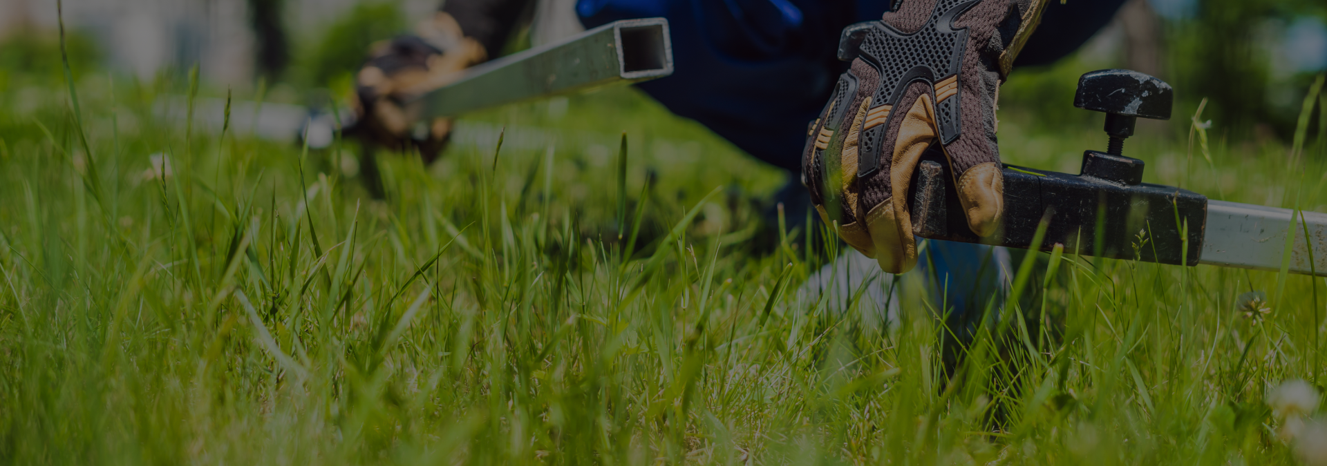 Conservação e manutenção de espaços verdes